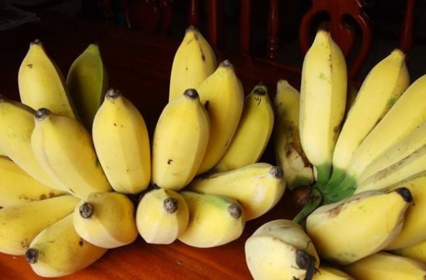 รู้มั้ย? กล้วยจะทำให้ 8 โรคร้ายต่อไปนี้กลายเป็นเรื่องกล้วยๆ ถ้ากินมันเป็นประจำ