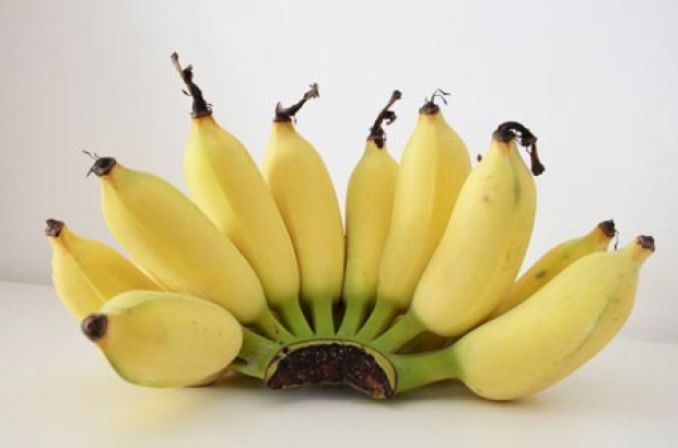เรื่องกล้วย กล้วย ไม่ใช่30บาทแต่ก็รักษาได้เกือบทุกโรค