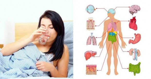 สุขภาพดี-แย่ ขึ้นอยู่กับการดื่มน้ำให้ถูกวิธี ด้วย 6 หลักง่ายๆ ต่อไปนี้