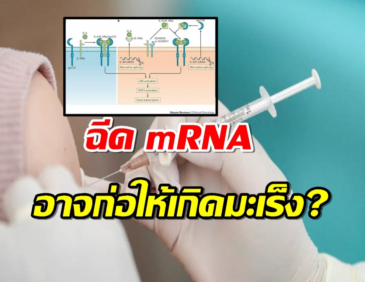 คุณหมอคนดัง เปิดผลวิจัย mRNA อาจก่อให้เกิดมะเร็ง