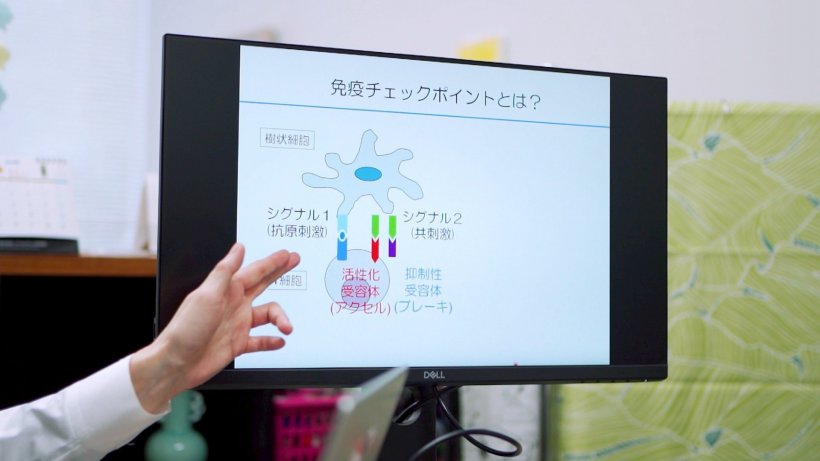 หมอญี่ปุ่นเผยเคล็ดลับ ปลุกกองทัพในตัว พิชิตมะเร็งร้าย