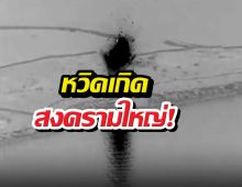 สหรัฐ สกัดโดรนพิฆาตอิหร่าน มุ่งโจมตีฮอร์มุซ