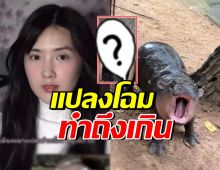 อื้อหือ! เบียร์ เดอะวอยซ์ แปลงโฉมเป็นน้องหมูเด้ง น่ารักเกิน