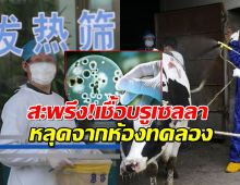 สะพรึง!!เชื้อบรูเซลลา หลุดจากห้องทดลอง ติดง่ายแค่ลอยไปตามลม