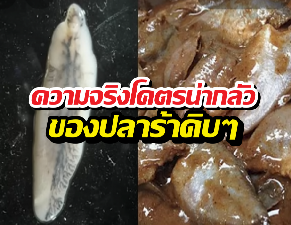 เฉลยสาเหตุ คนอีสานกินปลาร้าดิบ ทำไมไม่เห็นเป็นอะไร