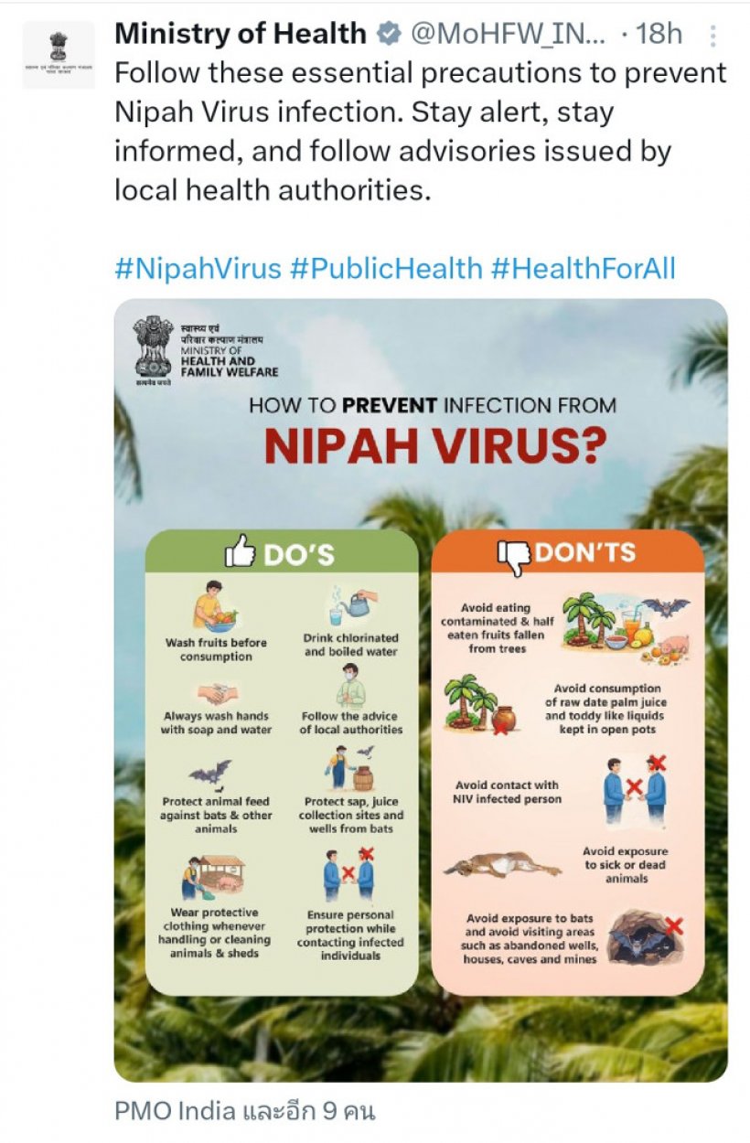 รู้จัก ไวรัสนิปาห์ ระบาดในอินเดีย พยาบาลโคม่า-สั่งกักตัวนับร้อย!