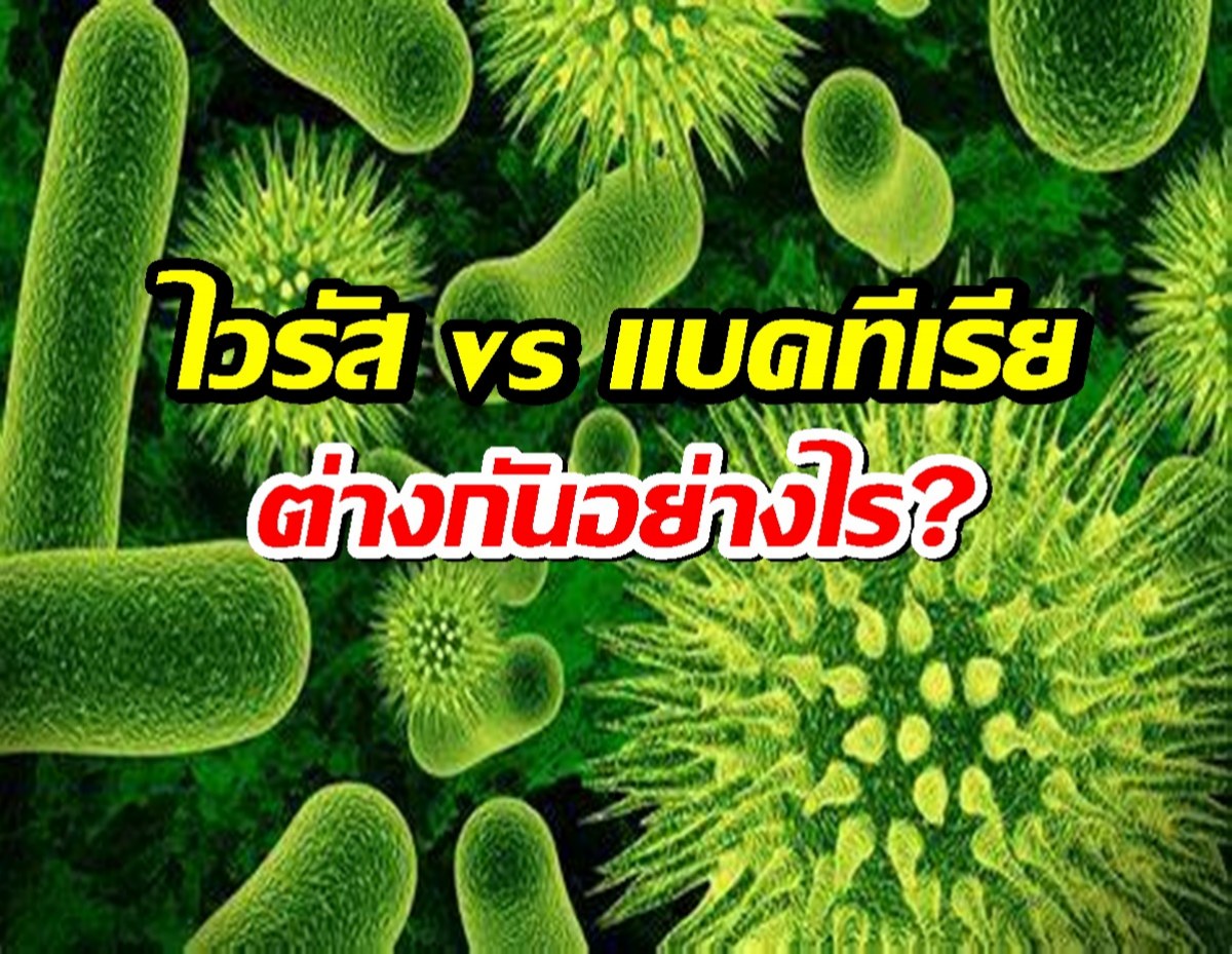 รู้หรือไม่? ไวรัส vs แบคทีเรีย แตกต่างกันอย่างไร?!