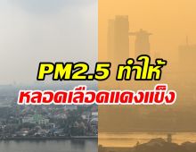 ฝุ่น PM2.5 ทำให้หลอดเลือดแดงแข็งได้ไง หมอมีคำตอบแล้ว