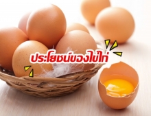 10 ประโยชน์ของไข่ไก่ เพียงแค่กินวันละฟอง